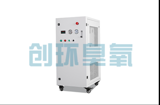 赣州工厂化养鲈必看：2026年臭氧发生器替代传统消毒的最新方案