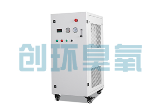赣州石斑鱼养殖水质调控完整指南:臭氧发生器配置与操作步骤