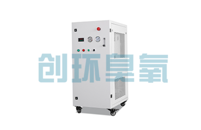 赣州比传统换水更高效?臭氧发生器在石斑鱼养殖中的水质净化原理解析